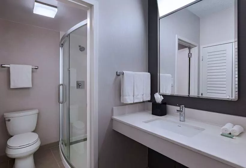 Sviitti, Courtyard By Marriott Dallas Richardson At Spring Valley