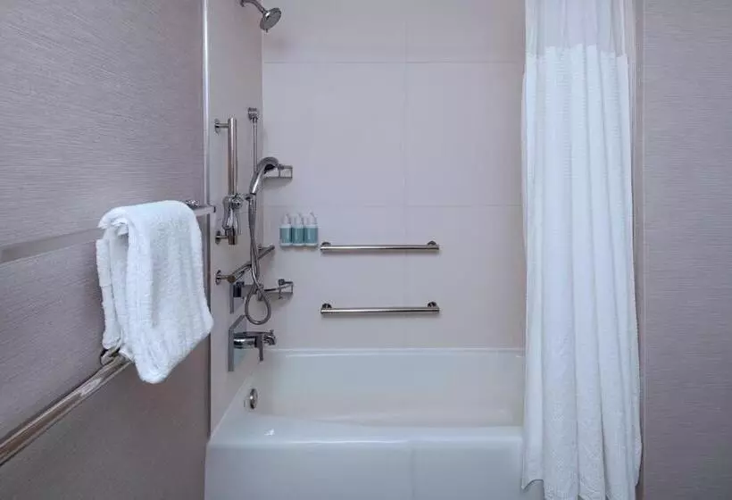 キングサイズベッドのスタンダードルーム, Courtyard By Marriott Dallas Richardson At Spring Valley