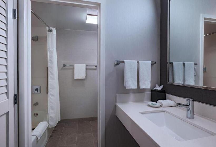 غرفة قياسية سرير كينج, Courtyard By Marriott Dallas Richardson At Spring Valley