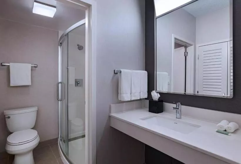 キングサイズベッドのスタンダードルーム, Courtyard By Marriott Dallas Richardson At Spring Valley