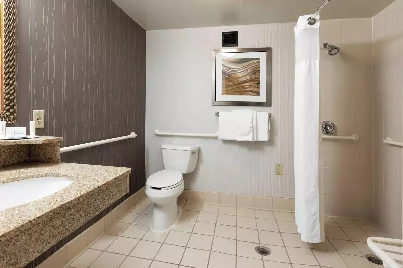 اتاق استاندارد با تخت بزرگ, Courtyard By Marriott Dallas Fort Worth/bedford