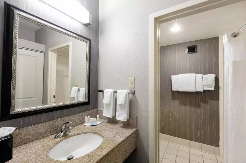 اتاق استاندارد با تخت بزرگ, Courtyard By Marriott Dallas Fort Worth/bedford
