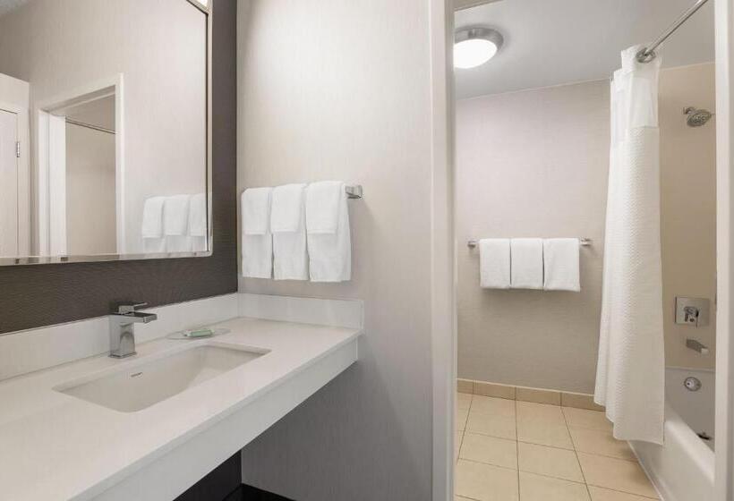 اتاق استاندارد با تخت بزرگ برای معلولان, Courtyard By Marriott Minneapolis St. Paul Airport