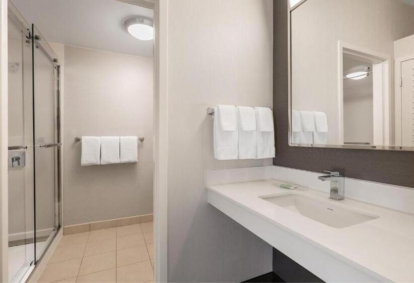 장애인을 위한 킹사이즈 침대 스탠다드 룸, Courtyard By Marriott Minneapolis St. Paul Airport
