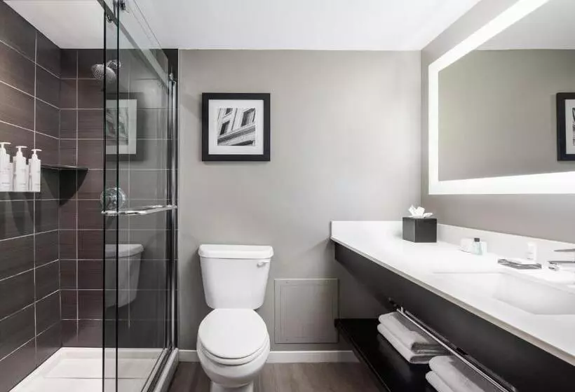 اتاق استاندارد با تخت بزرگ, Dallas Addison Marriott Quorum By The Galleria