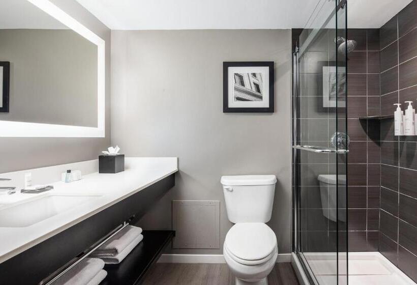 身障者適用キングサイズベッドルーム, Dallas Addison Marriott Quorum By The Galleria