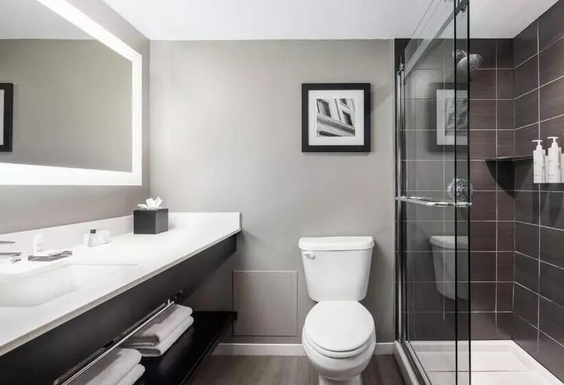 اتاق استاندارد با تخت بزرگ برای معلولان, Dallas Addison Marriott Quorum By The Galleria