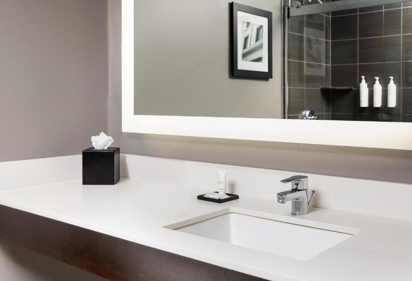 デラックスルーム, Dallas Addison Marriott Quorum By The Galleria