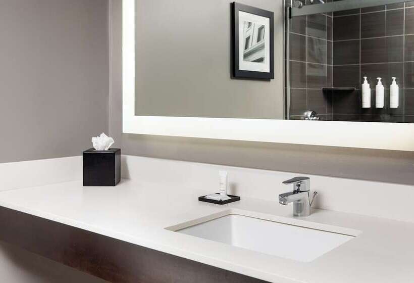 デラックスルーム, Dallas Addison Marriott Quorum By The Galleria