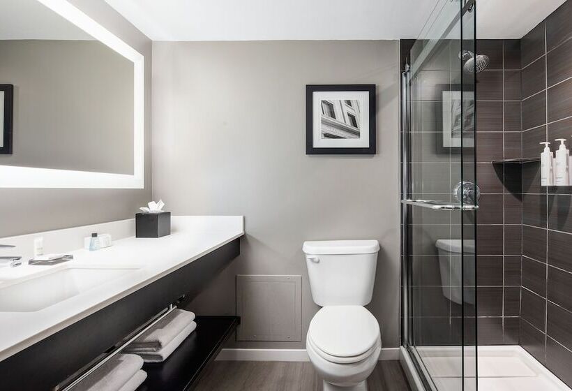 ２ダブルベッドのスタンダードルーム, Dallas Addison Marriott Quorum By The Galleria