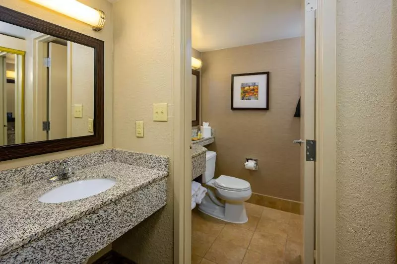 اتاق استاندارد برای معلولان, Doubletree By Hilton Raleigh Midtown, Nc