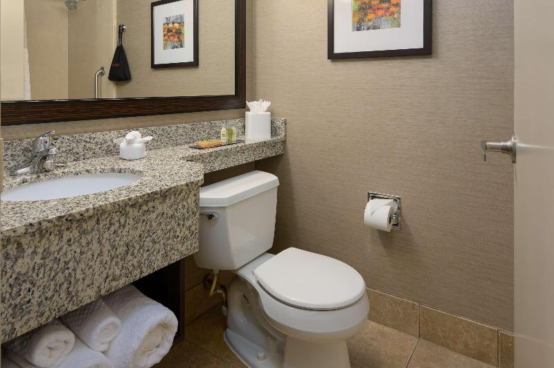 اتاق استاندارد با تخت بزرگ, Doubletree By Hilton Raleigh Midtown, Nc