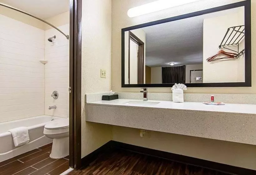 ２ダブルベッドのスタンダードルーム, Econo Lodge Inn & Suites Matthews   Charlotte