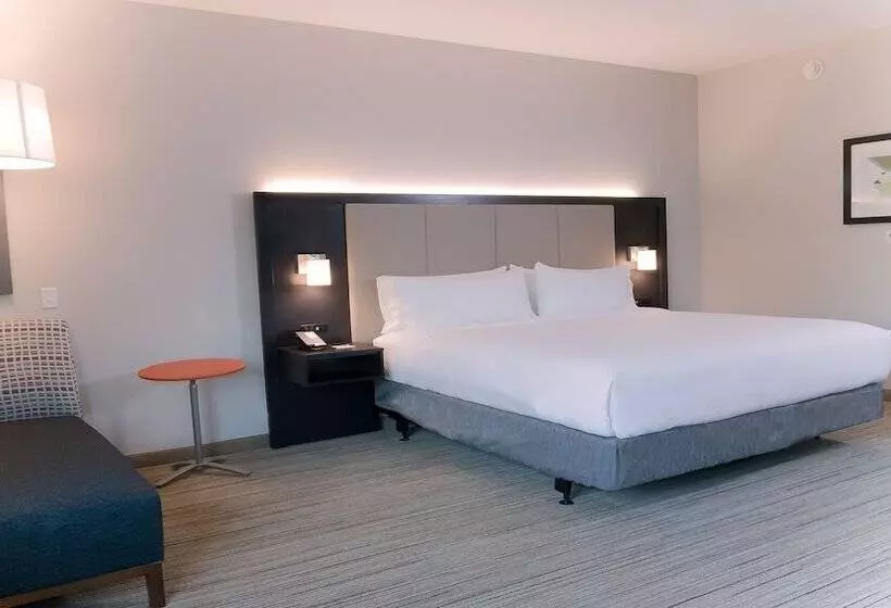 スタンダードルーム, Holiday Inn Express & Suites   Tampa East   Ybor City, An Ihg