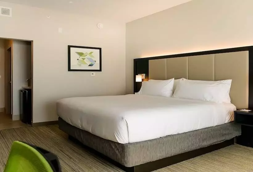 スタンダードルーム, Holiday Inn Express & Suites   Tampa East   Ybor City, An Ihg