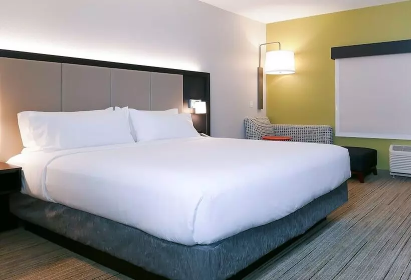 スタンダードルーム, Holiday Inn Express & Suites   Tampa East   Ybor City, An Ihg