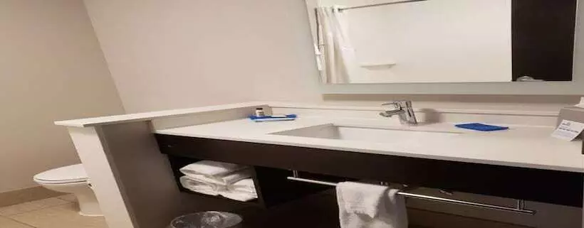 スイート, Holiday Inn Express & Suites   Tampa East   Ybor City, An Ihg