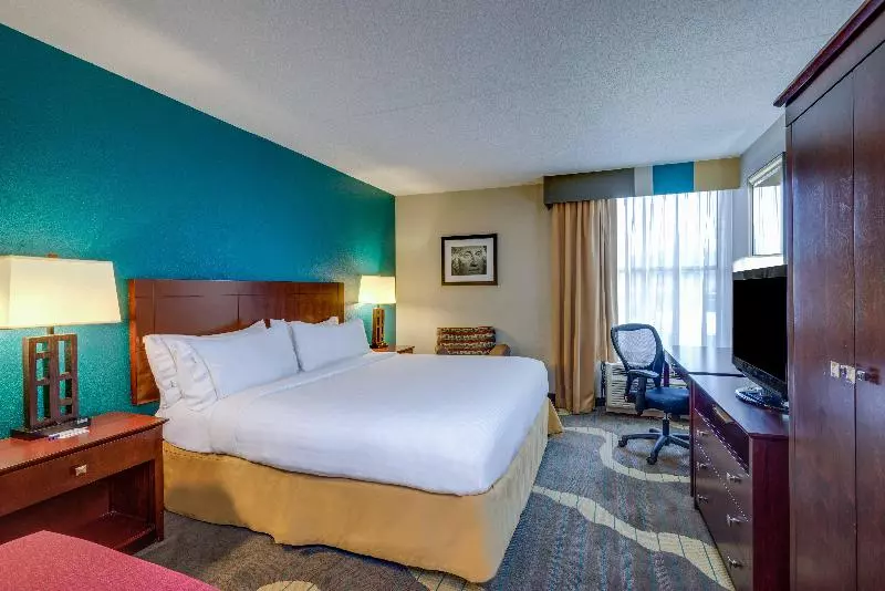 キングサイズベッドのスタンダードルーム, Holiday Inn Express Washington Dc East  Andrews Afb, An Ihg