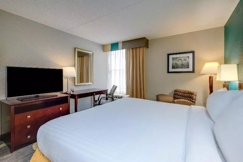 キングサイズベッドのスタンダードルーム, Holiday Inn Express Washington Dc East  Andrews Afb, An Ihg