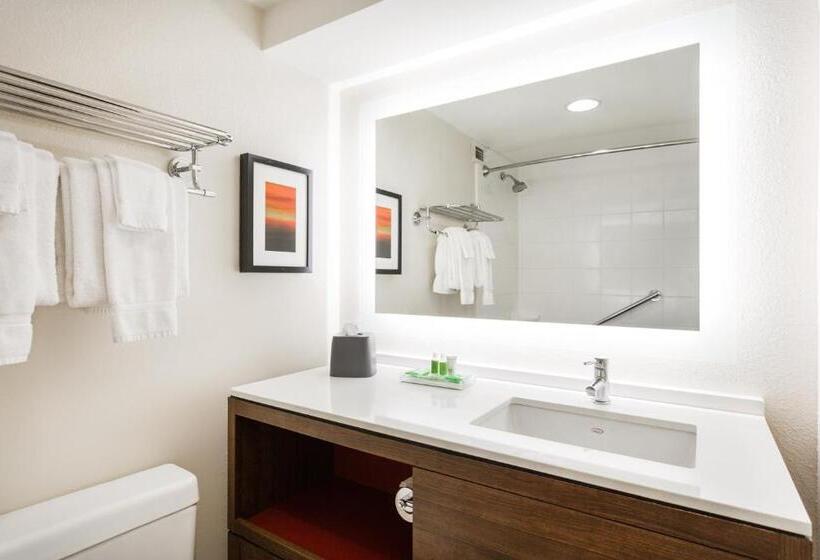 디럭스 스위트, Holiday Inn Timonium, An Ihg