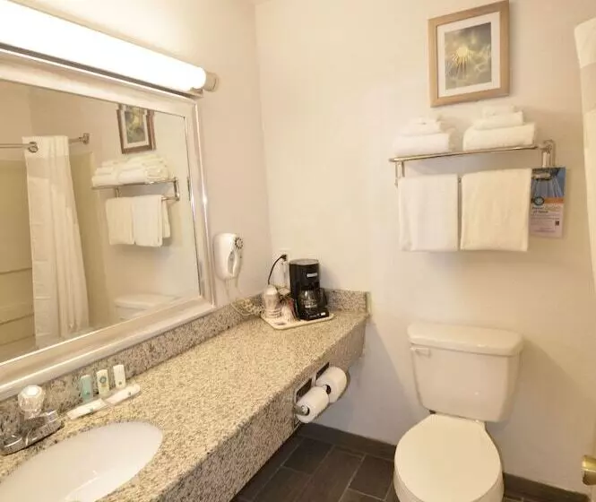 ハイドロマッサージバス付きスイート, Quality Inn Alexis Rd