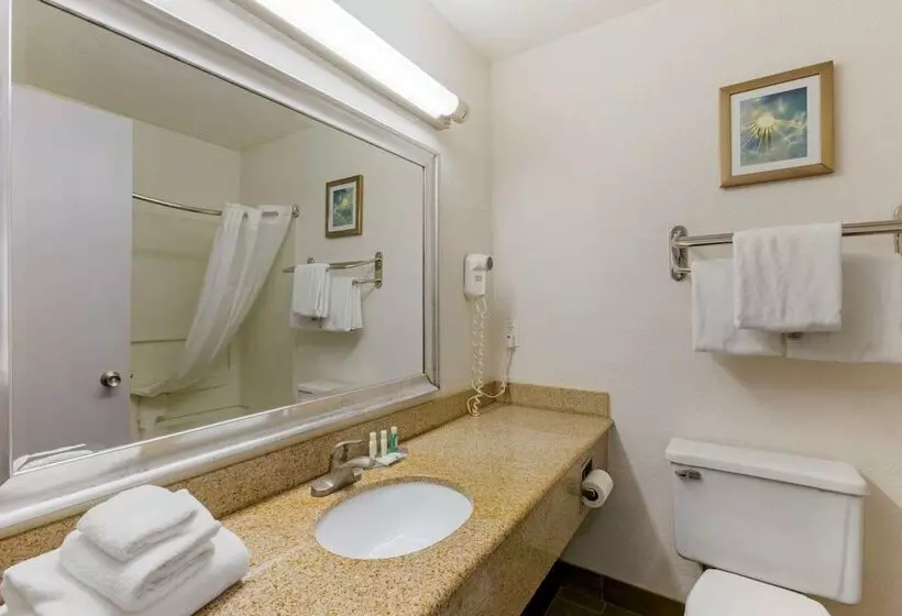 اتاق استاندارد با 2 تخت دوبل, Quality Inn Alexis Rd