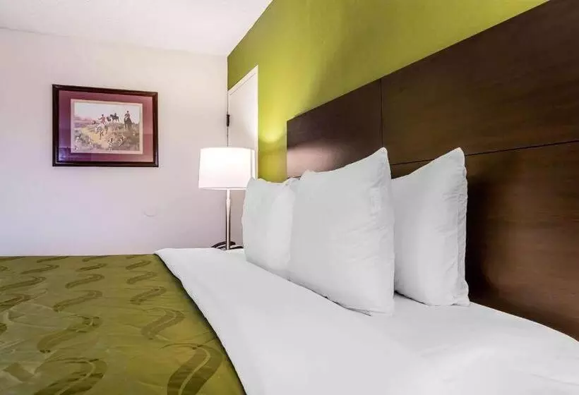 キングサイズベッドのスタンダードルーム, Quality Inn