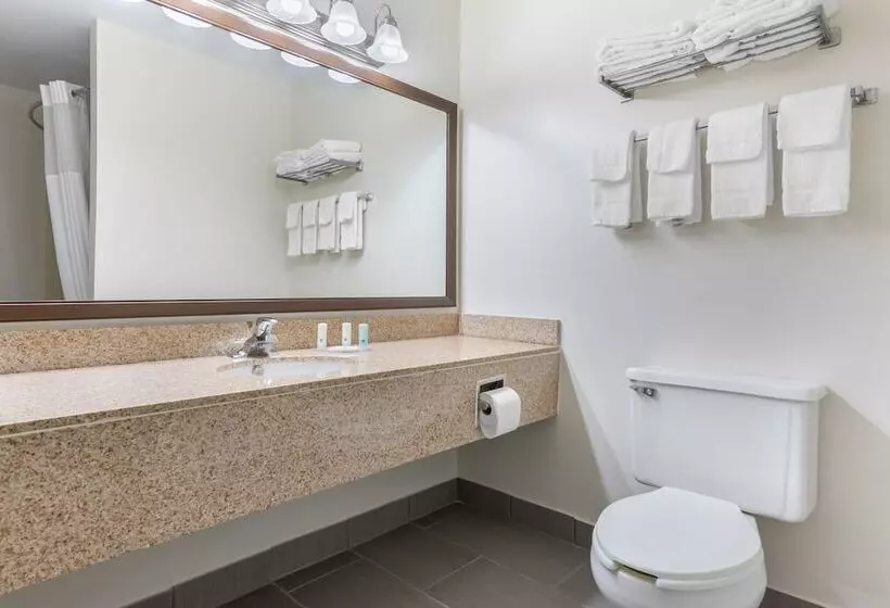 Standard-huone King-vuode, Quality Inn Fairborn Near Wright Patterson Afb