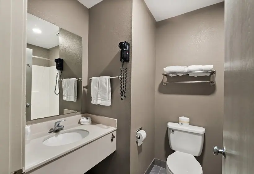 デラックスルーム, Red Roof Inn Martinsburg