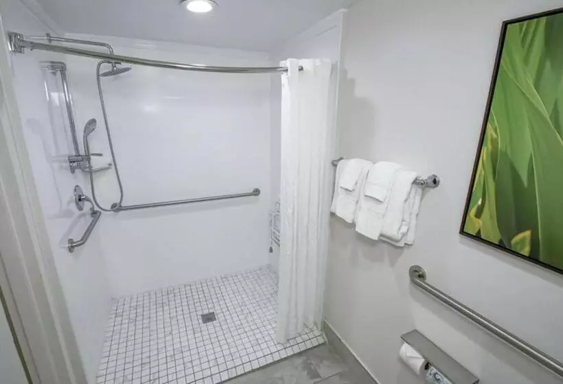 اتاق استاندارد با تخت بزرگ برای معلولان, Country Inn & Suites By Radisson, New Orleans I10 East, La