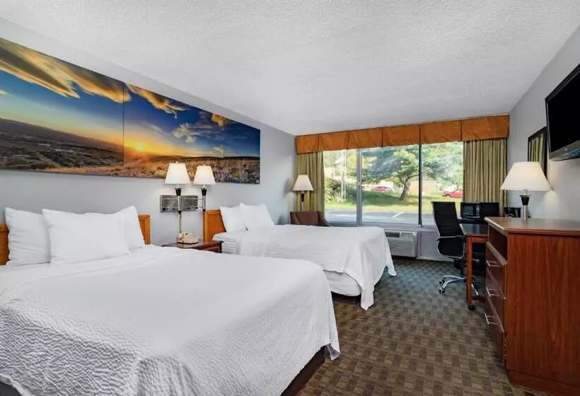 デラックスルーム, Days Inn By Wyndham Cambridge