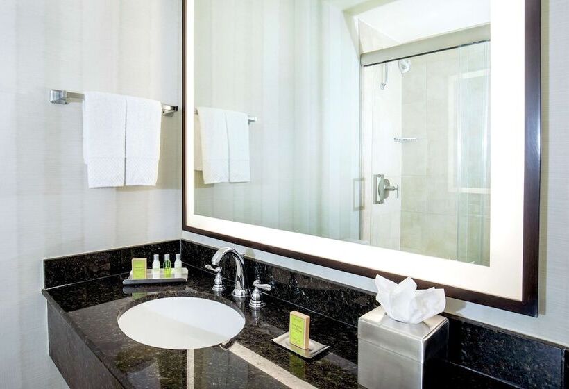 Junior Suite, Doubletree By Hilton Hotel Nashville Downtown