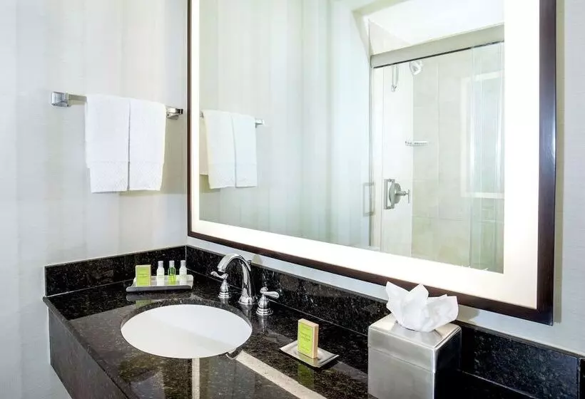 ジュニアスイート, Doubletree By Hilton Hotel Nashville Downtown