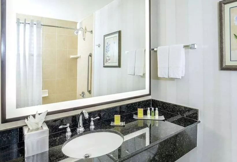 ジュニアスイート, Doubletree By Hilton Hotel Nashville Downtown