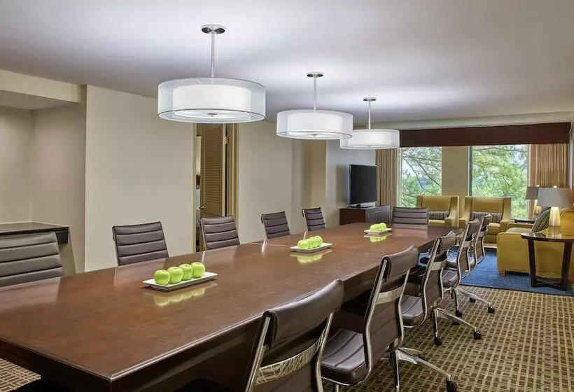سوییت, Doubletree By Hilton Houston Intercontinental Airport