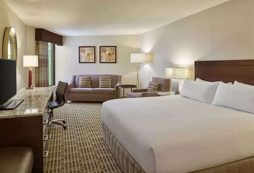 سوییت, Doubletree By Hilton Houston Intercontinental Airport