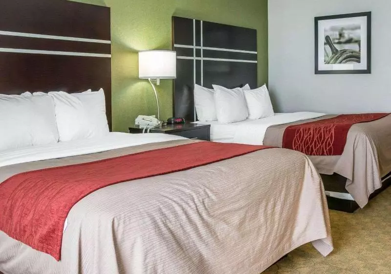 اتاق استاندارد با تخت بزرگ برای معلولان, Doubletree By Hilton Houston Intercontinental Airport