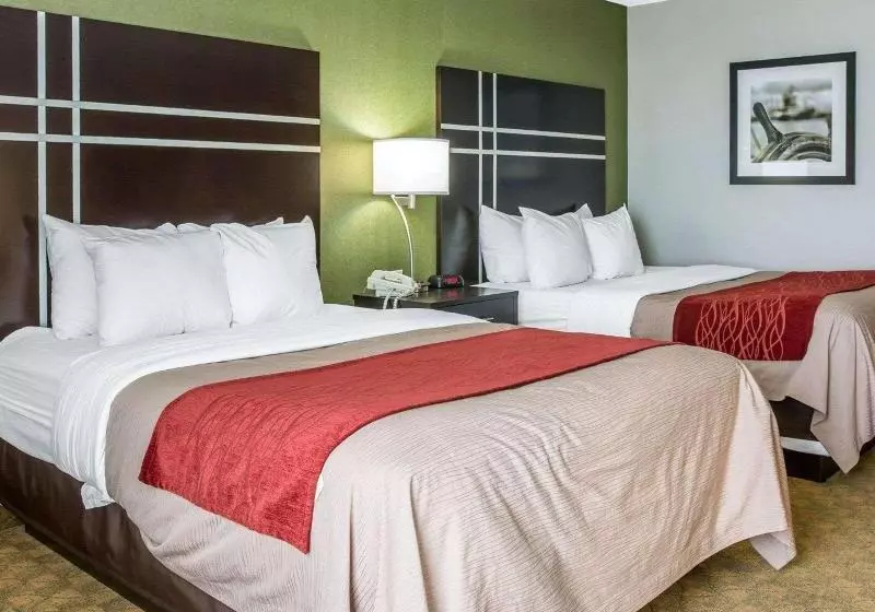 اتاق استاندارد با تخت بزرگ برای معلولان, Doubletree By Hilton Houston Intercontinental Airport