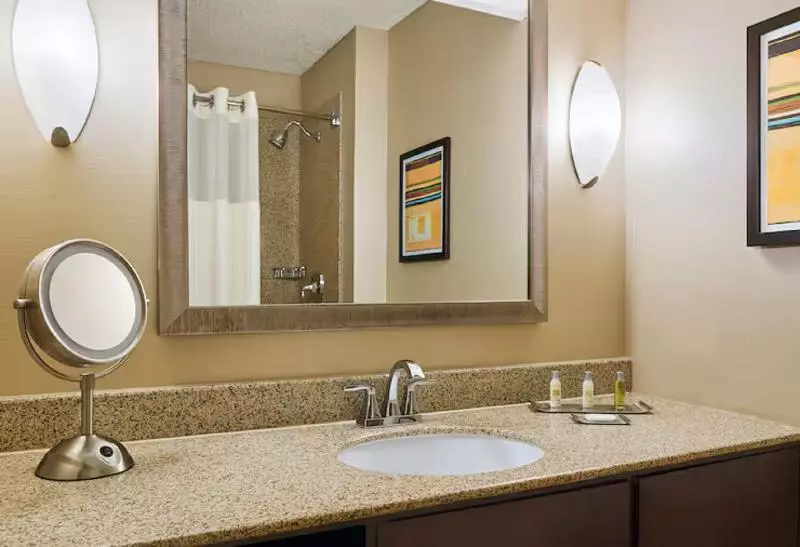 اتاق استاندارد با تخت بزرگ, Doubletree By Hilton Houston Intercontinental Airport