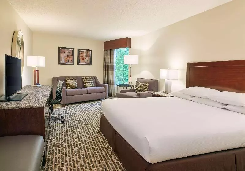اتاق استاندارد با تخت بزرگ, Doubletree By Hilton Houston Intercontinental Airport