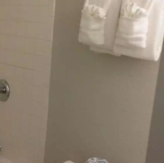 اتاق استاندارد با 2 تخت دوبل, Econo Lodge Inn & Suites Abilene East District