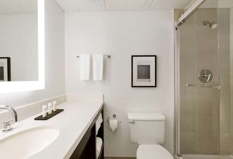 جناح, Embassy Suites By Hilton Chicago Lombard Oak Brook