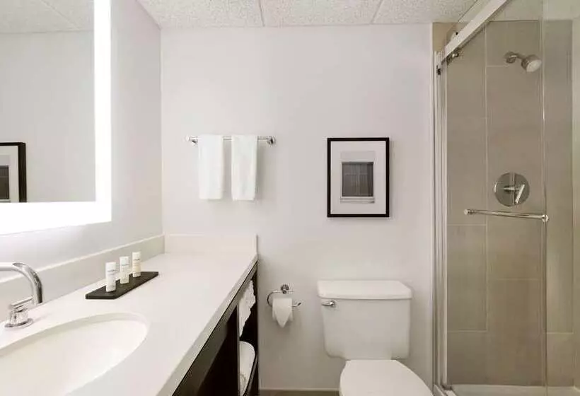 سوییت, Embassy Suites By Hilton Chicago Lombard Oak Brook