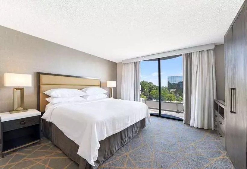 キングサイズベッドのスイートルーム, Embassy Suites By Hilton Denver Tech Center North