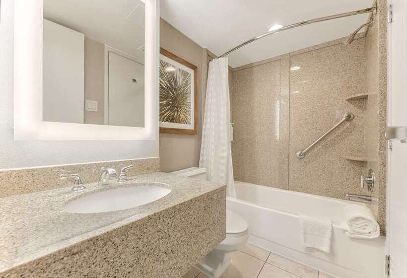 キングサイズベッドのスイートルーム, Embassy Suites By Hilton Denver Tech Center North