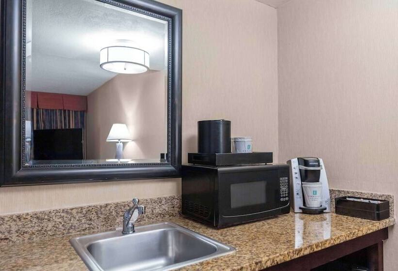 סוויטה, Embassy Suites By Hilton Kansas City Plaza