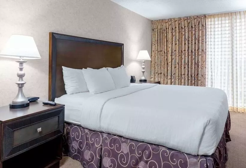 プレミアムスイート, Embassy Suites By Hilton Kansas City Plaza