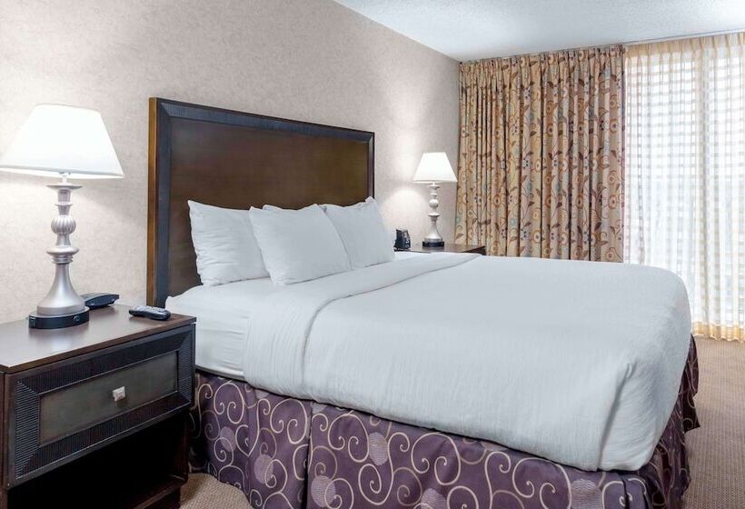 סוויטה משפחתית, Embassy Suites By Hilton Kansas City Plaza