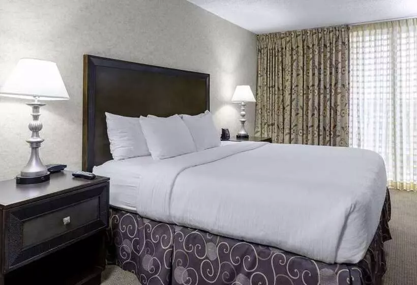 スイート（家族用）, Embassy Suites By Hilton Kansas City Plaza