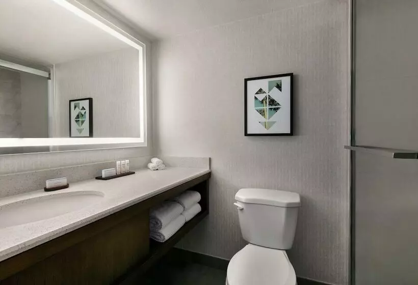 سوییت, Embassy Suites By Hilton Los Angeles Downey
